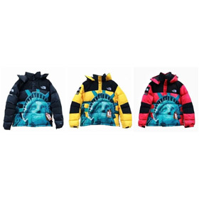 Nowa stylowa i ciepła kurtka-4806 The North Face  